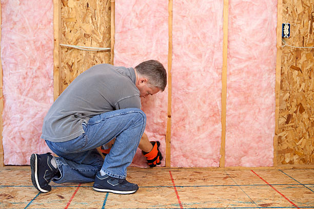 Best Attic Insulation Installation  in Fort Smith, AR